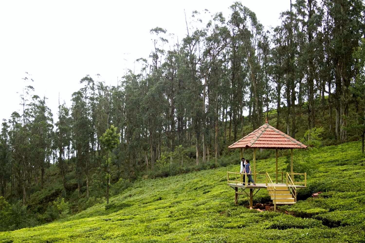 Green Nest Resort Ooty Kotagiri Bagian luar foto