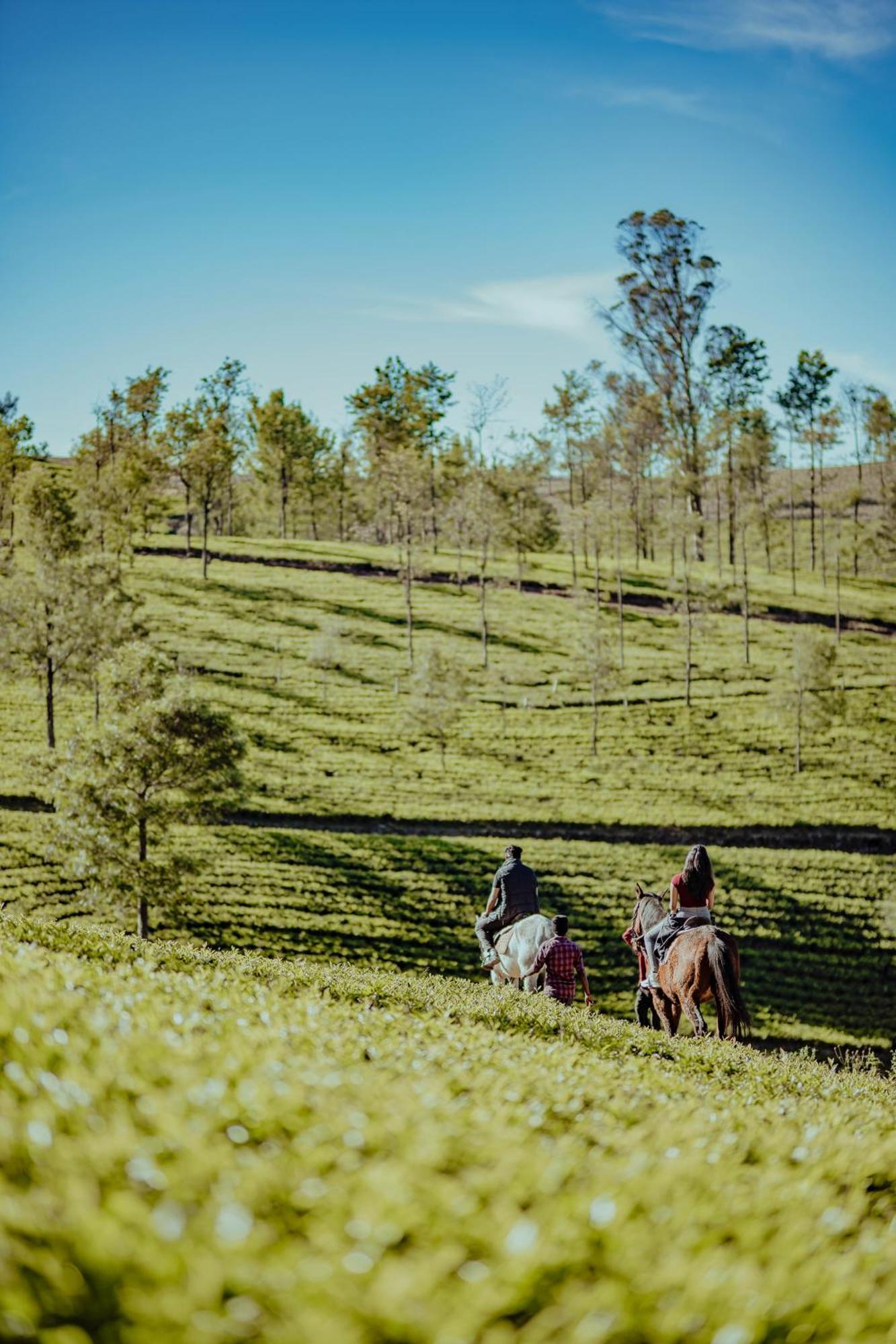 Green Nest Resort Ooty Kotagiri Bagian luar foto