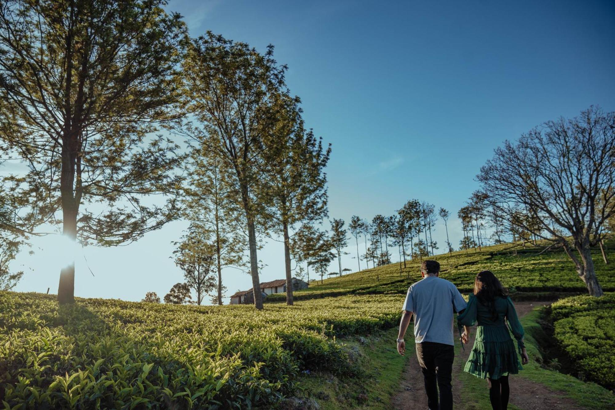Green Nest Resort Ooty Kotagiri Bagian luar foto