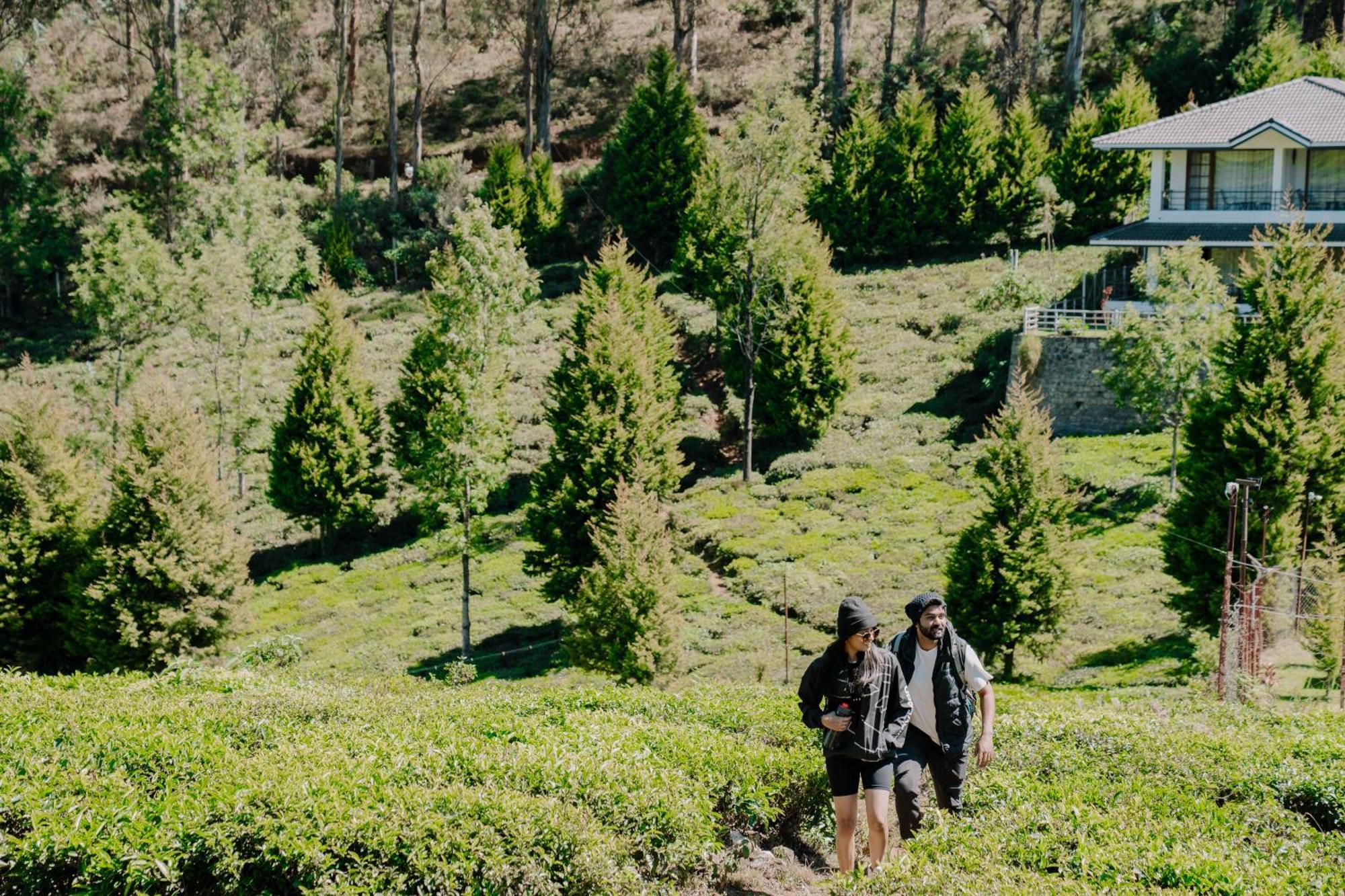 Green Nest Resort Ooty Kotagiri Bagian luar foto