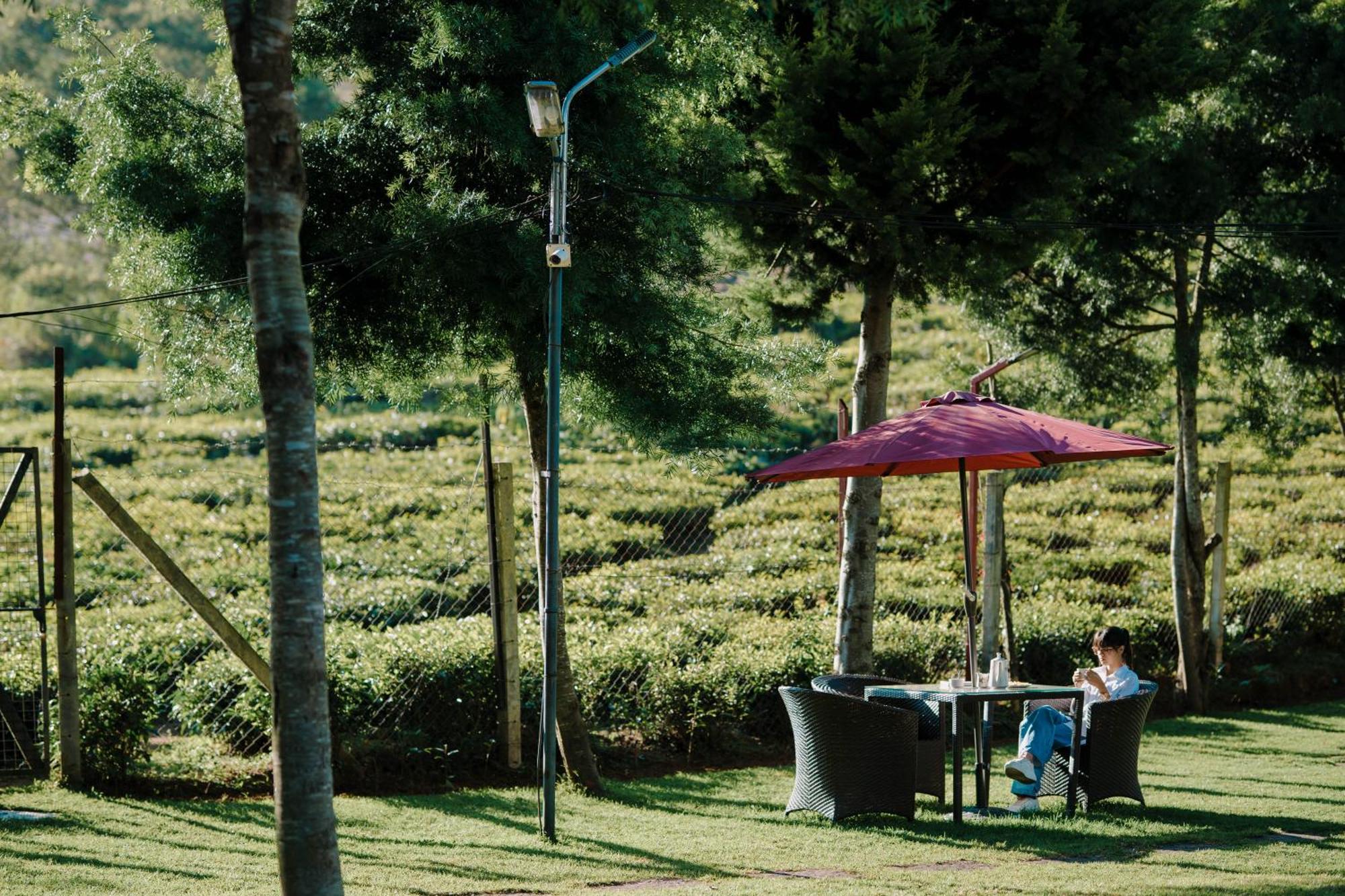 Green Nest Resort Ooty Kotagiri Bagian luar foto