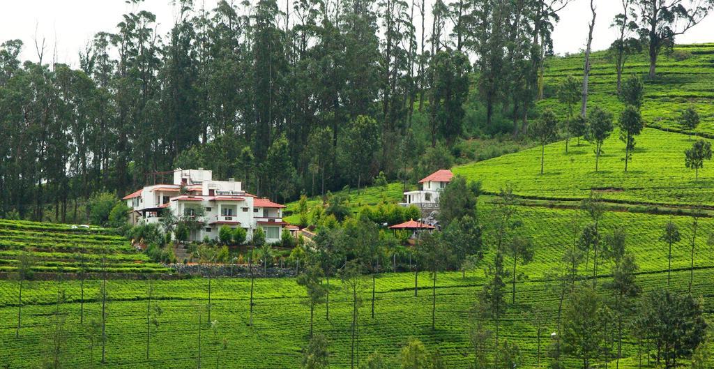 Green Nest Resort Ooty Kotagiri Bagian luar foto