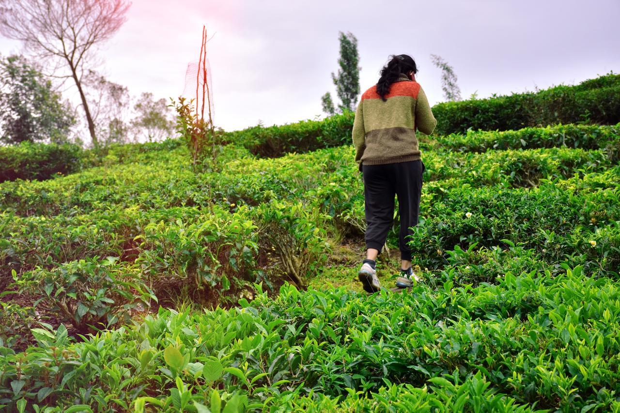 Green Nest Resort Ooty Kotagiri Bagian luar foto